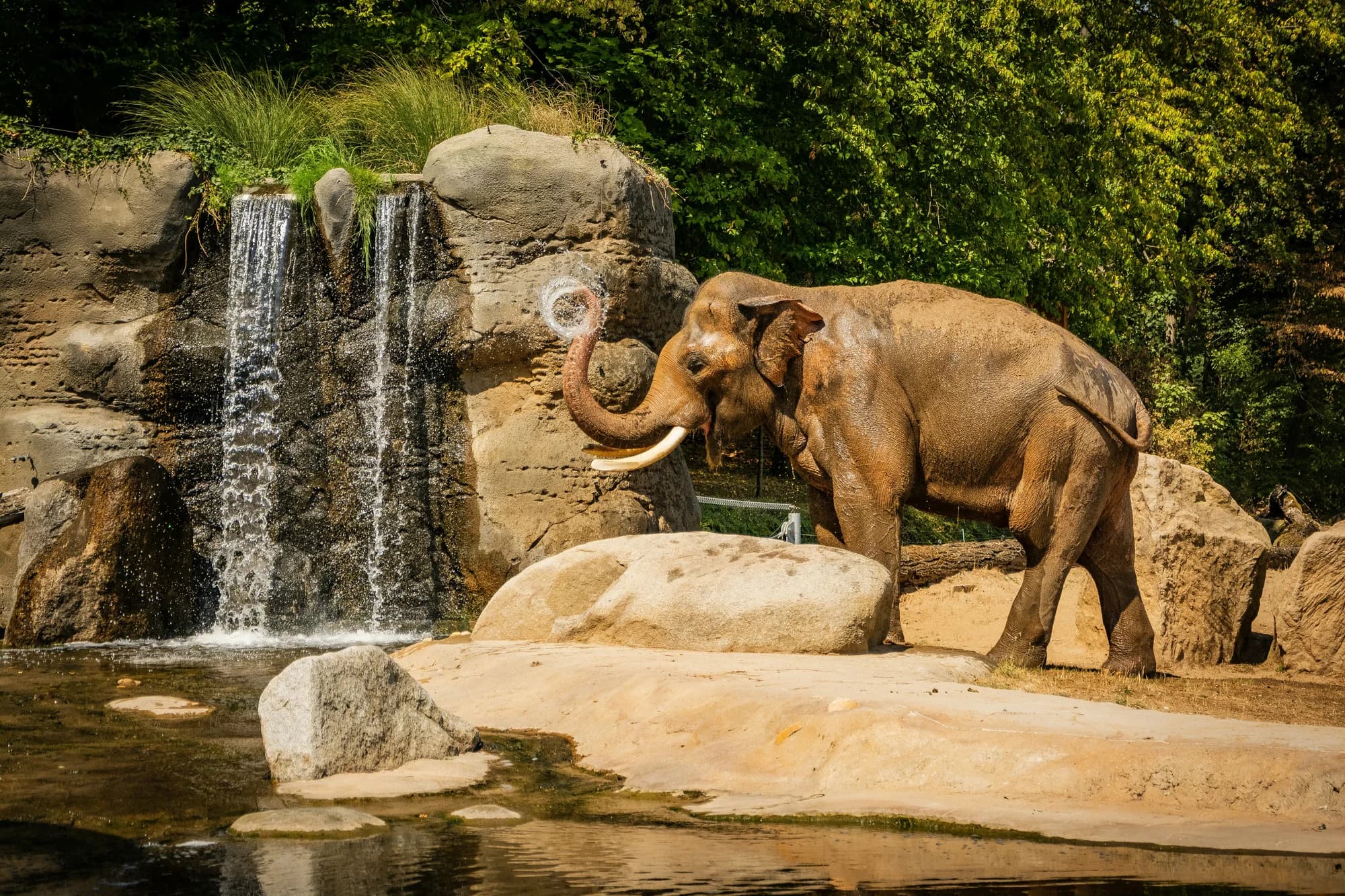 Výlet do ZOO Praha